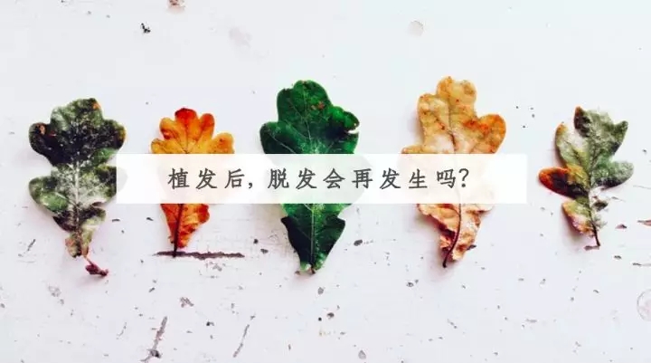 植发之后，脱发就不会再发生了吗？