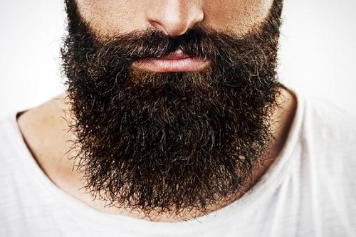 种植胡须种类有哪些?